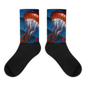 Einstiens Lantern Black foot socks Socks - Redeye Laboratories