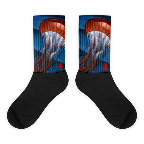 Einstiens Lantern Black foot socks Socks - Redeye Laboratories