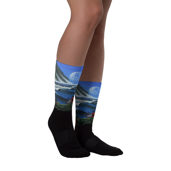 Alliez Black foot socks Socks - Redeye Laboratories